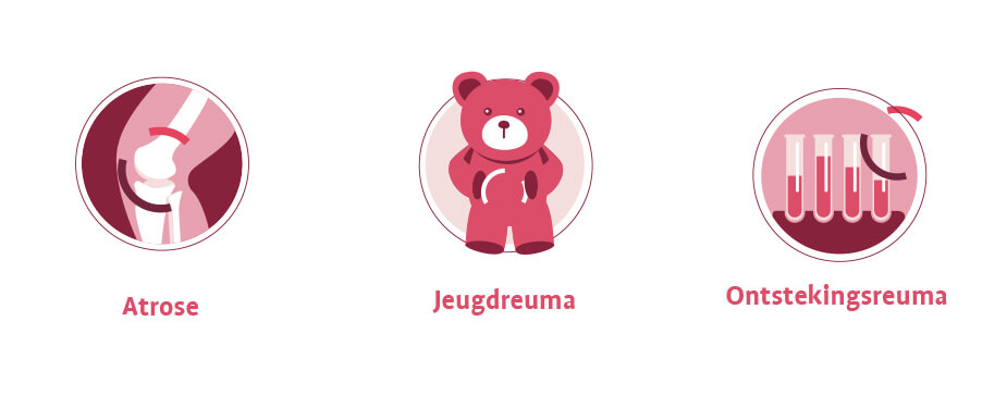 animatie